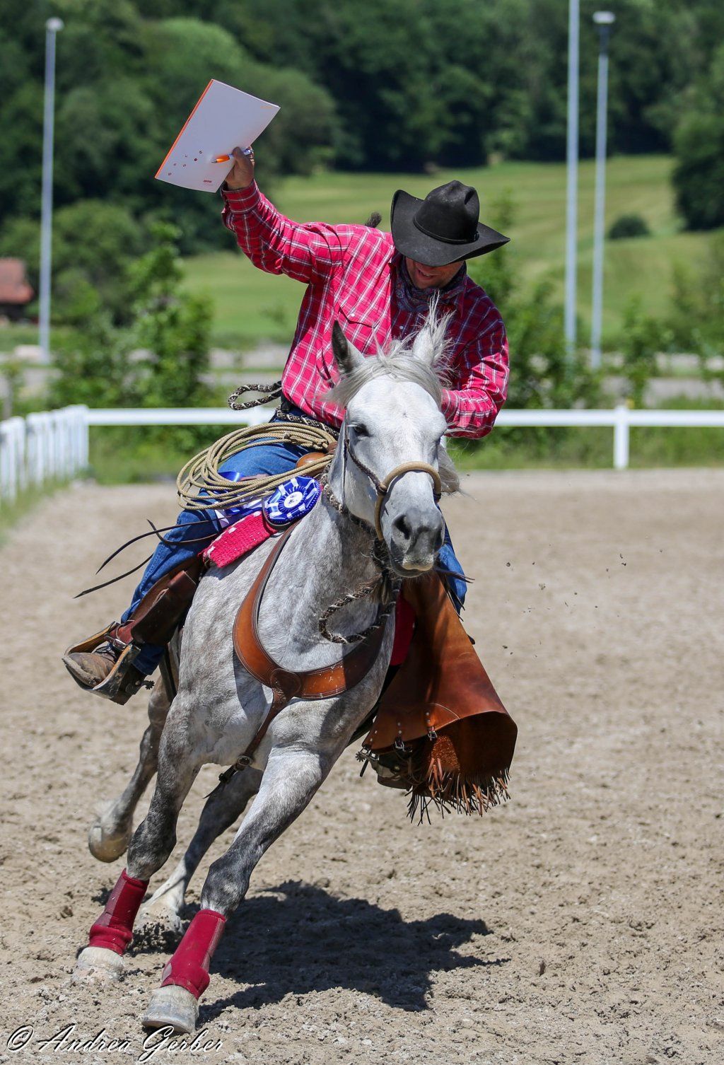 Swiss Ranch Horse Association - SRHA
