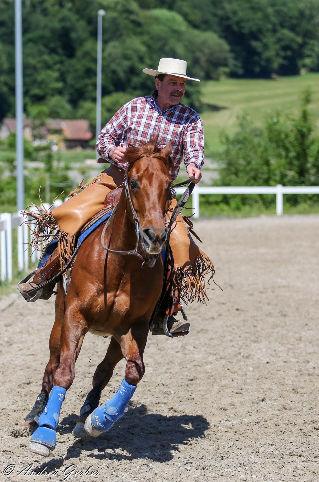 Swiss Ranch Horse Association - SRHA