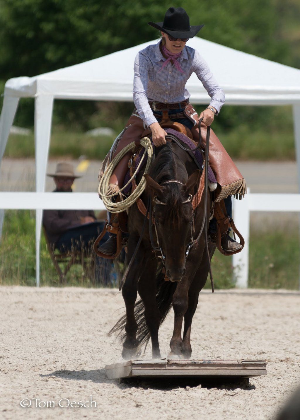 Swiss Ranch Horse Association - SRHA