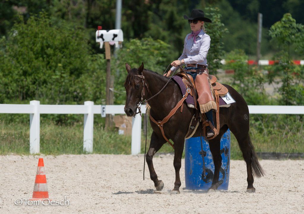 Swiss Ranch Horse Association - SRHA