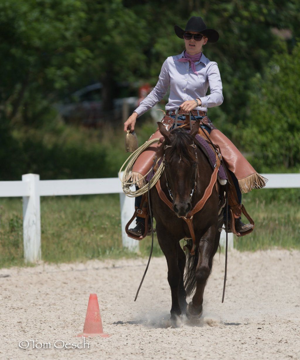 Swiss Ranch Horse Association - SRHA