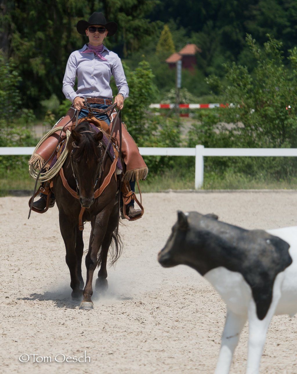 Swiss Ranch Horse Association - SRHA