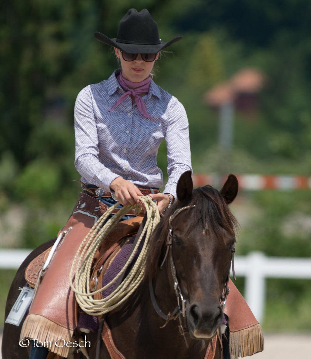 Swiss Ranch Horse Association - SRHA