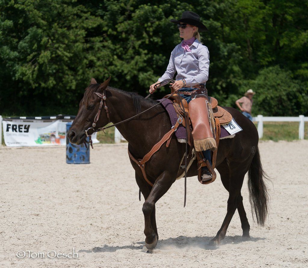 Swiss Ranch Horse Association - SRHA