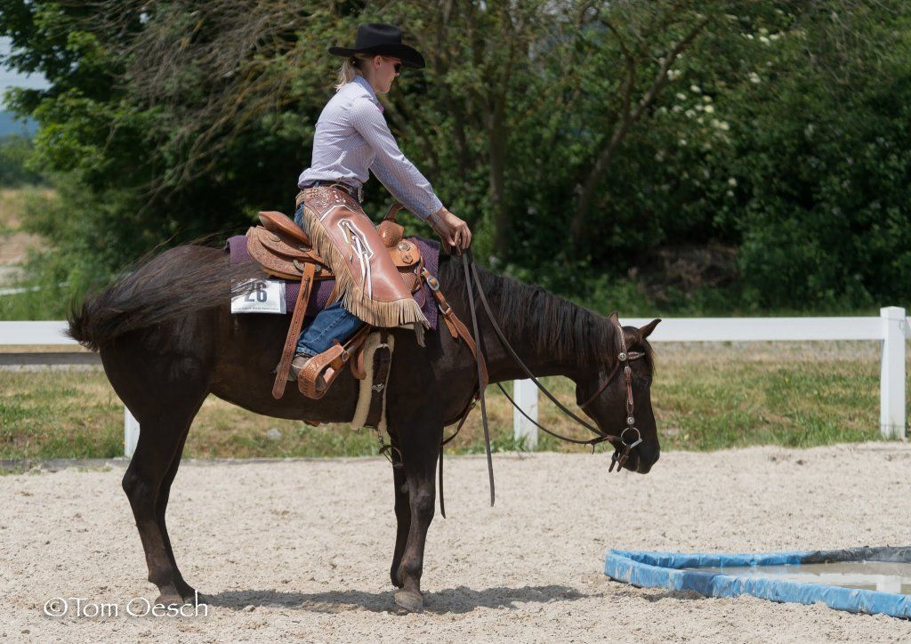 Swiss Ranch Horse Association - SRHA