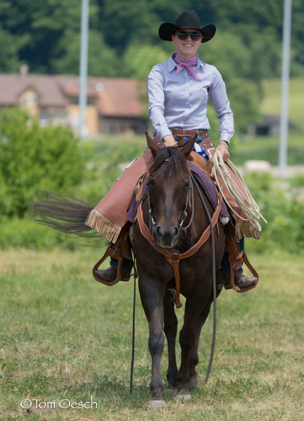 Swiss Ranch Horse Association - SRHA