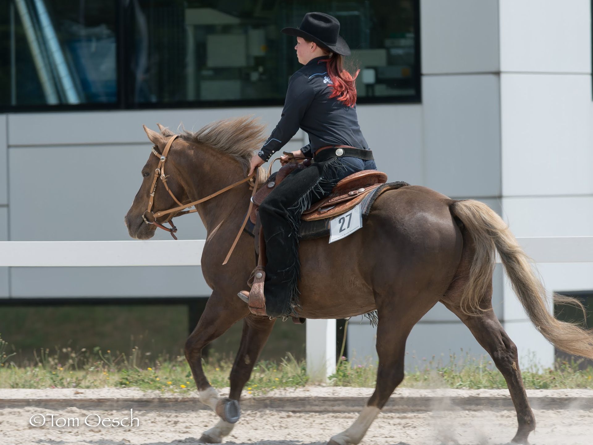 Swiss Ranch Horse Association - SRHA