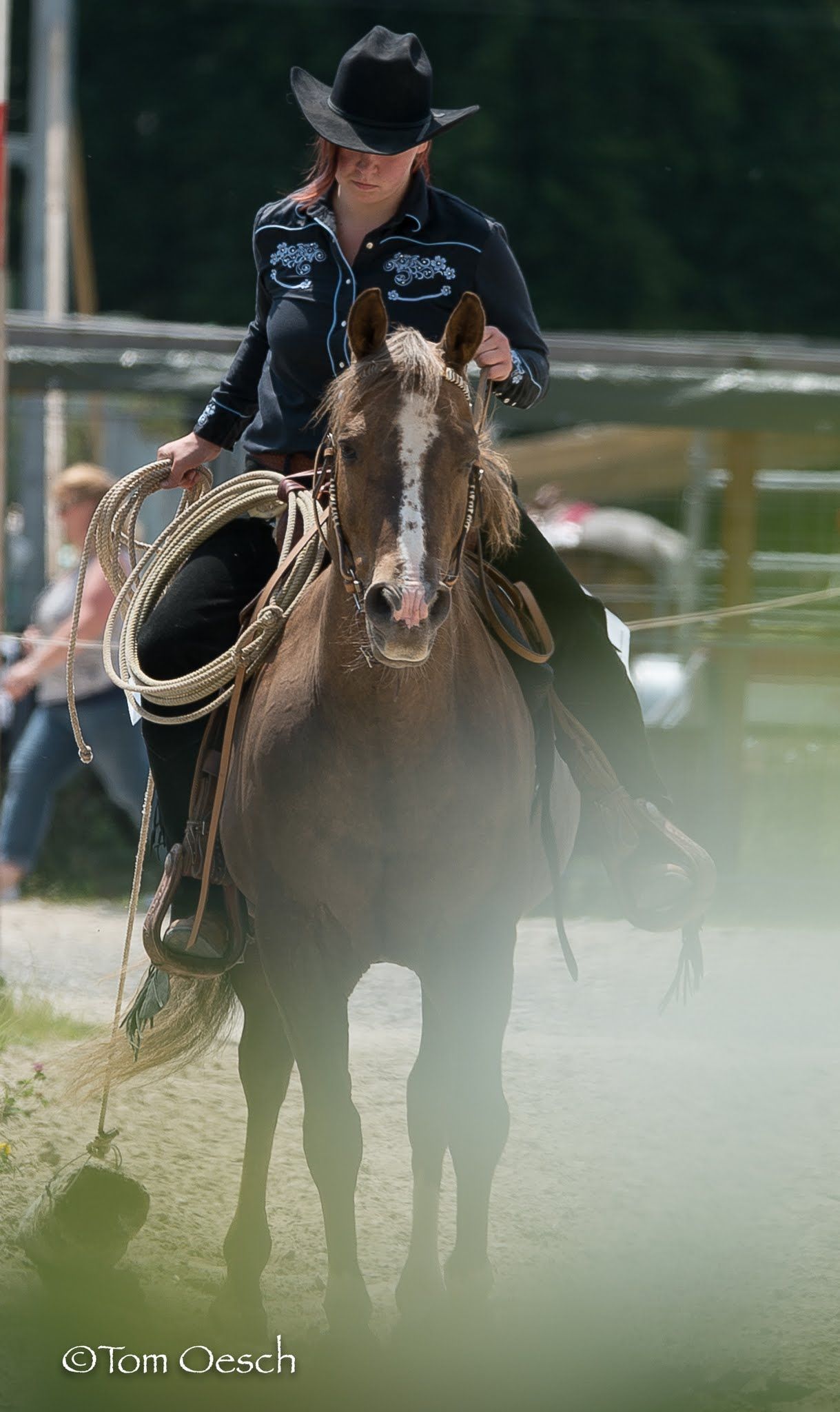 Swiss Ranch Horse Association - SRHA