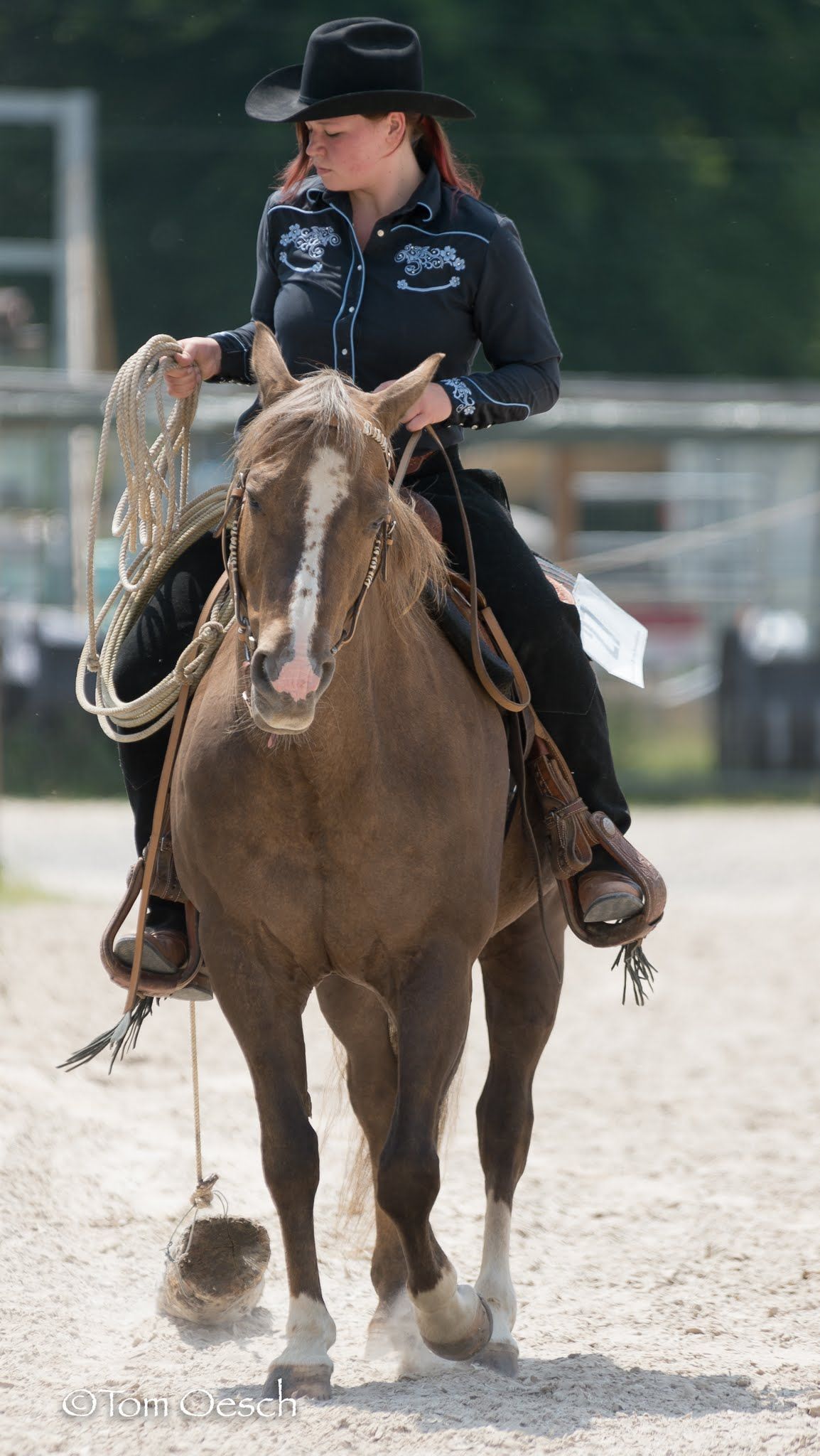 Swiss Ranch Horse Association - SRHA
