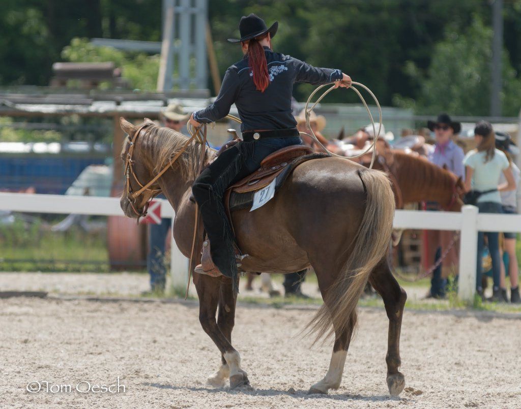 Swiss Ranch Horse Association - SRHA