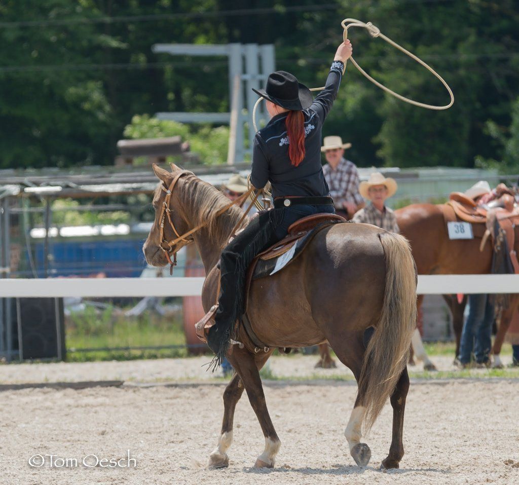Swiss Ranch Horse Association - SRHA