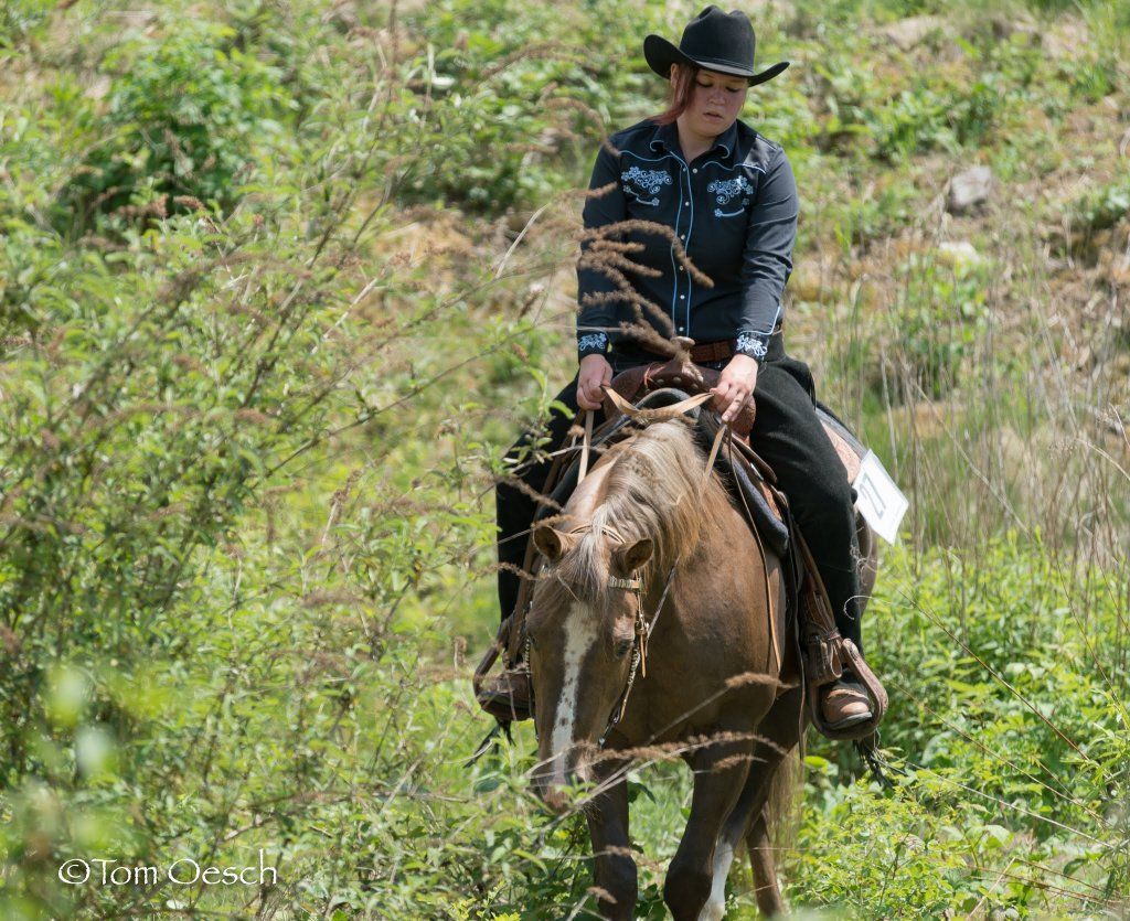 Swiss Ranch Horse Association - SRHA