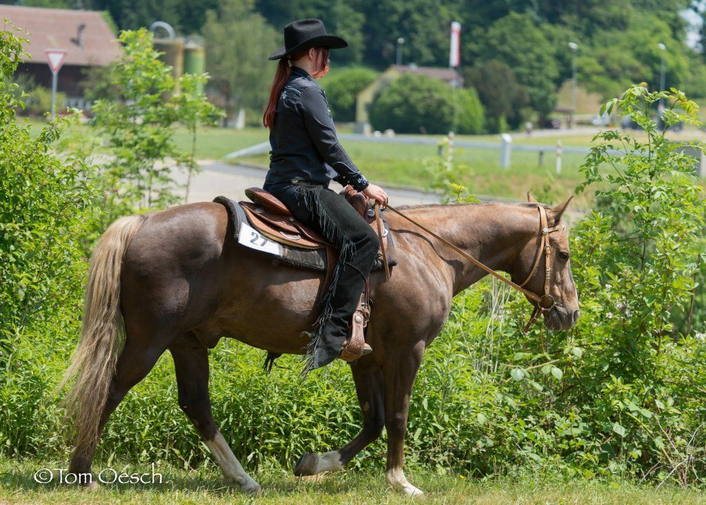 Swiss Ranch Horse Association - SRHA