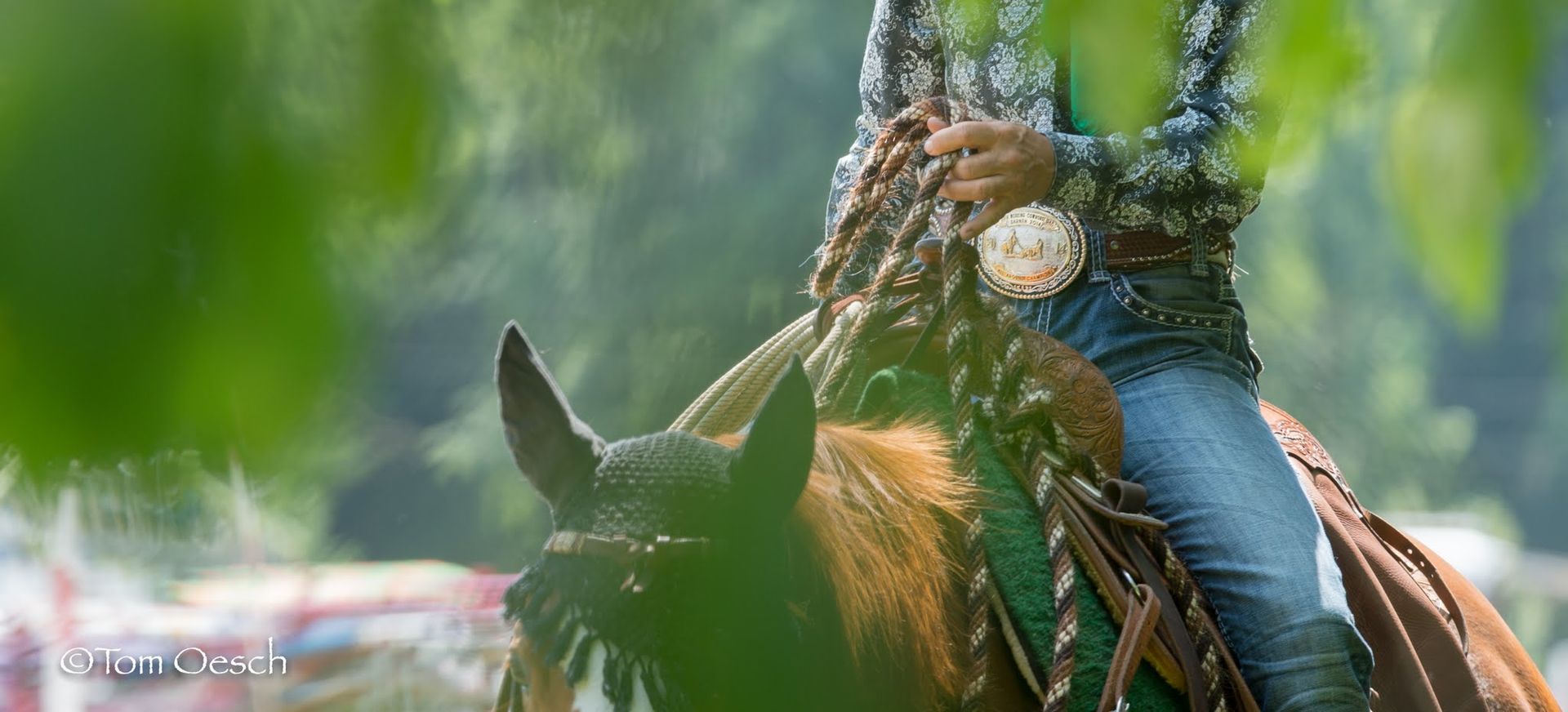 Swiss Ranch Horse Association - SRHA