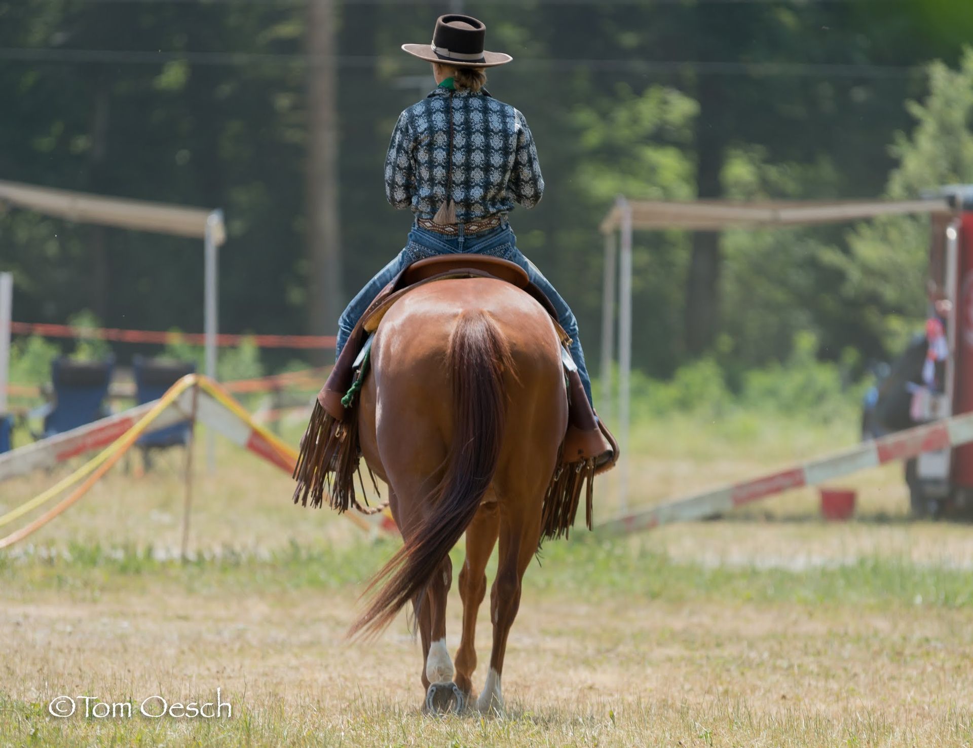 Swiss Ranch Horse Association - SRHA