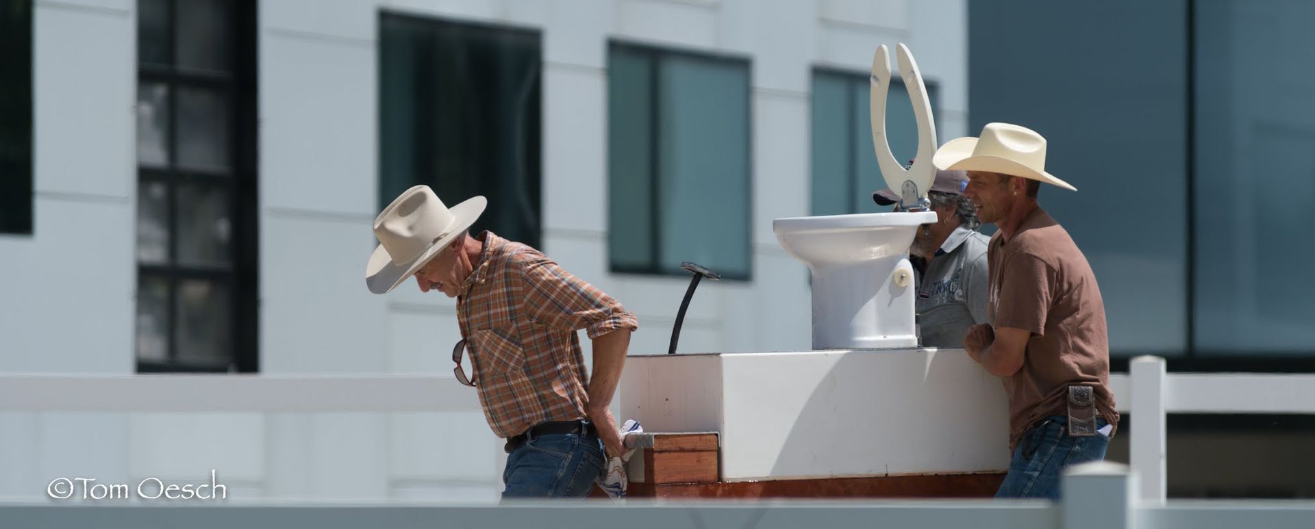 Swiss Ranch Horse Association - SRHA