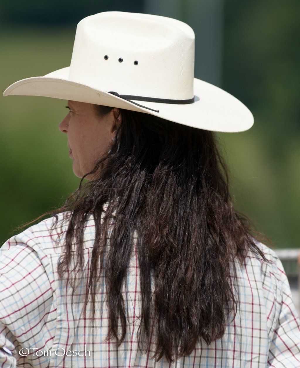 Swiss Ranch Horse Association - SRHA