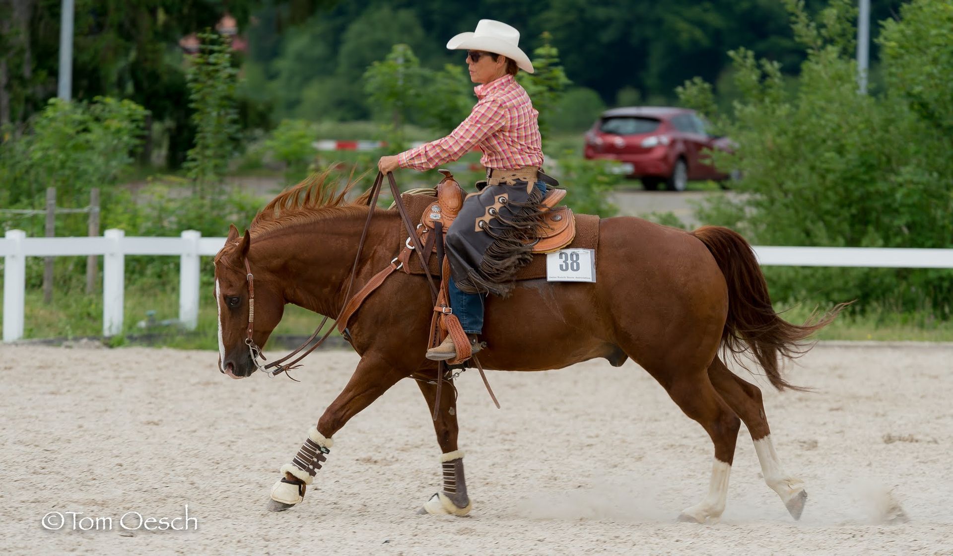 Swiss Ranch Horse Association - SRHA