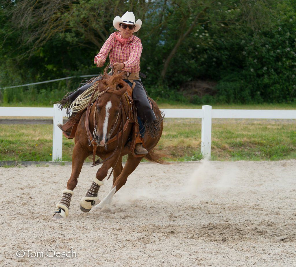 Swiss Ranch Horse Association - SRHA