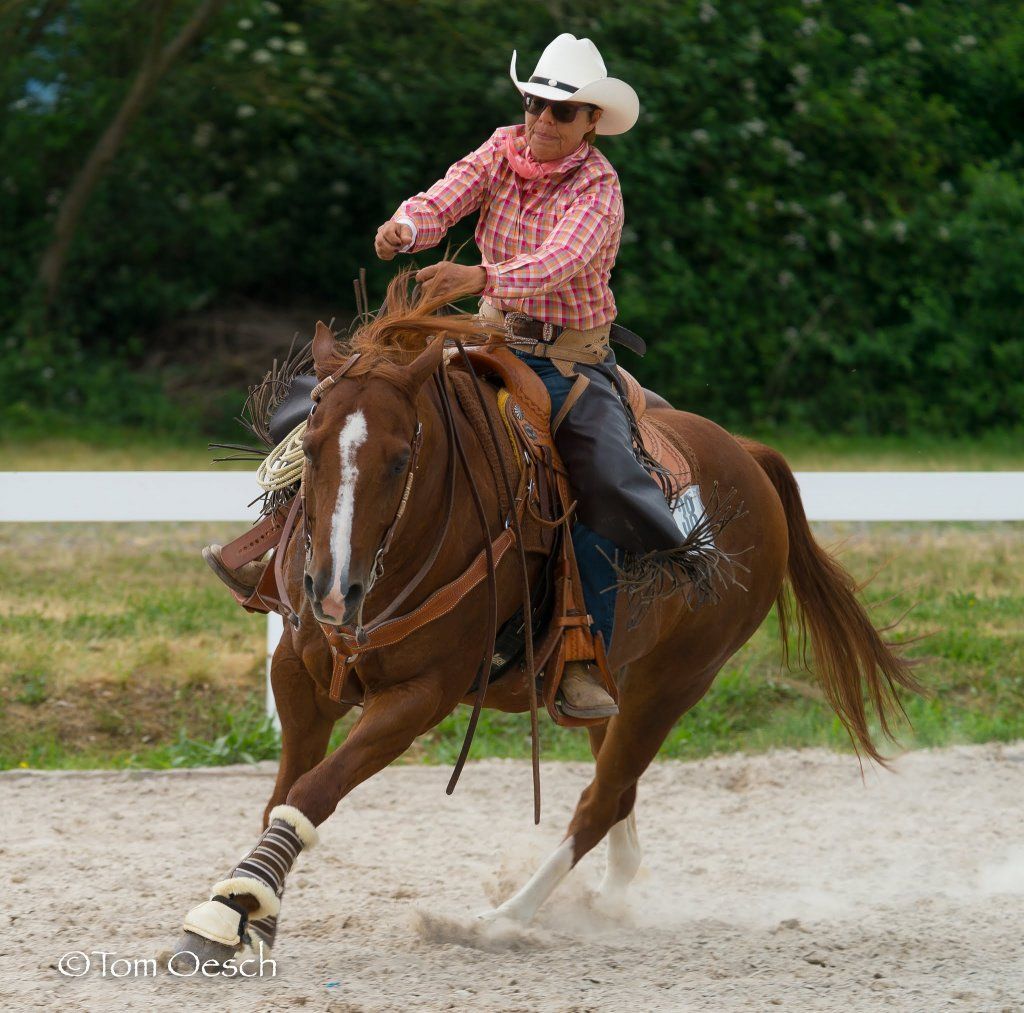 Swiss Ranch Horse Association - SRHA