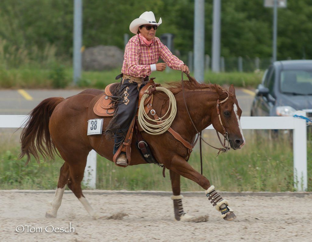 Swiss Ranch Horse Association - SRHA