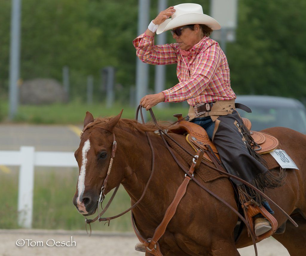 Swiss Ranch Horse Association - SRHA