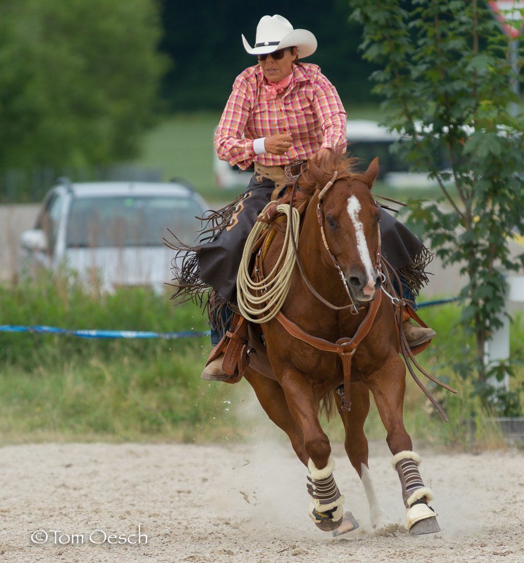 Swiss Ranch Horse Association - SRHA