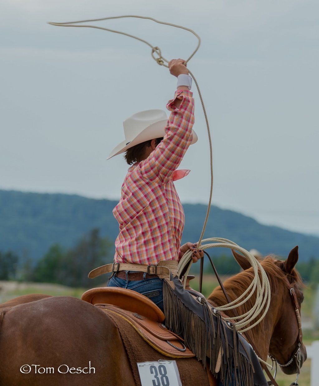 Swiss Ranch Horse Association - SRHA