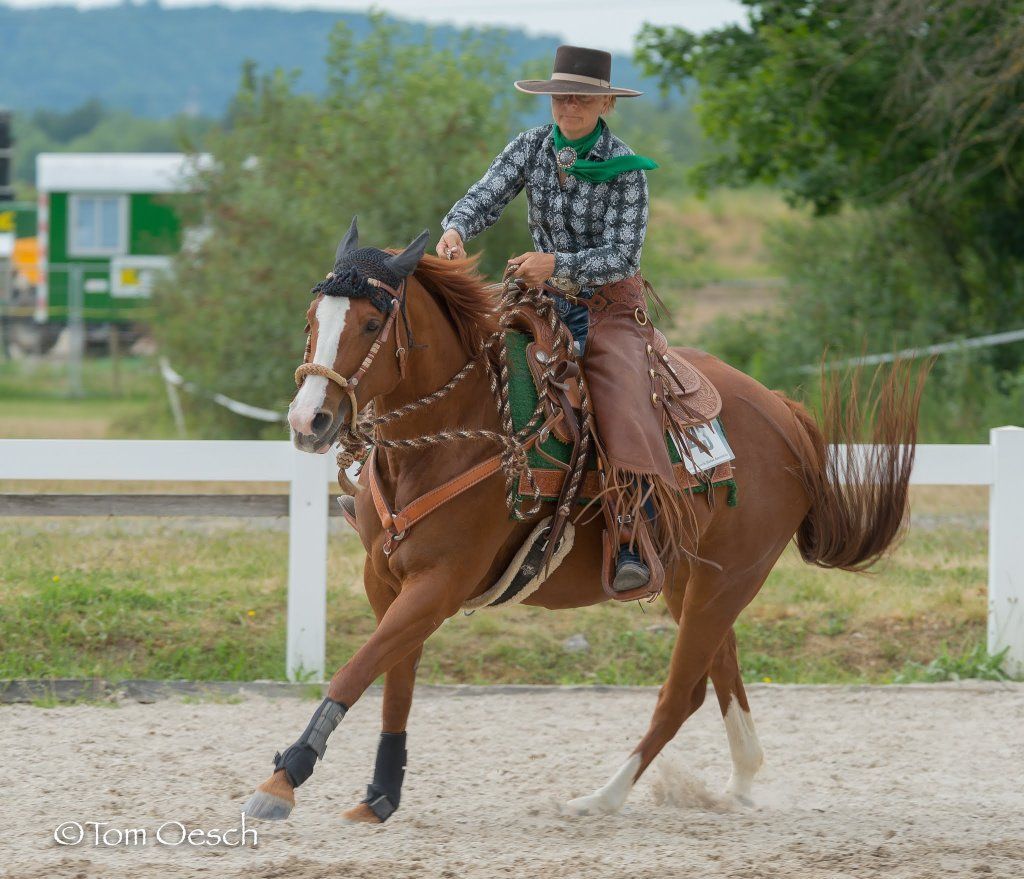 Swiss Ranch Horse Association - SRHA
