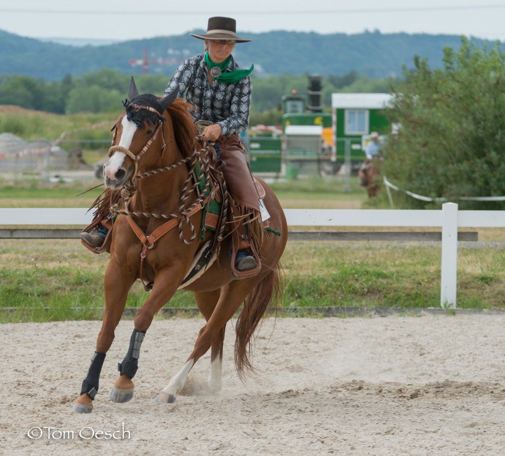 Swiss Ranch Horse Association - SRHA