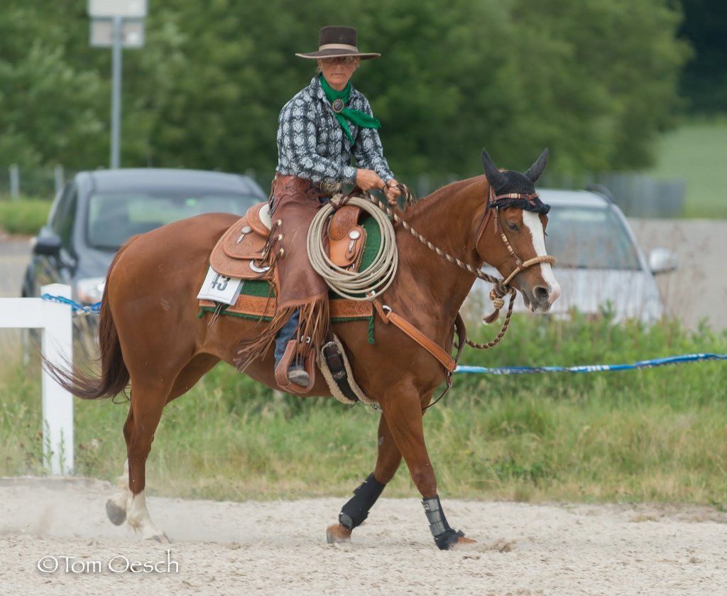Swiss Ranch Horse Association - SRHA