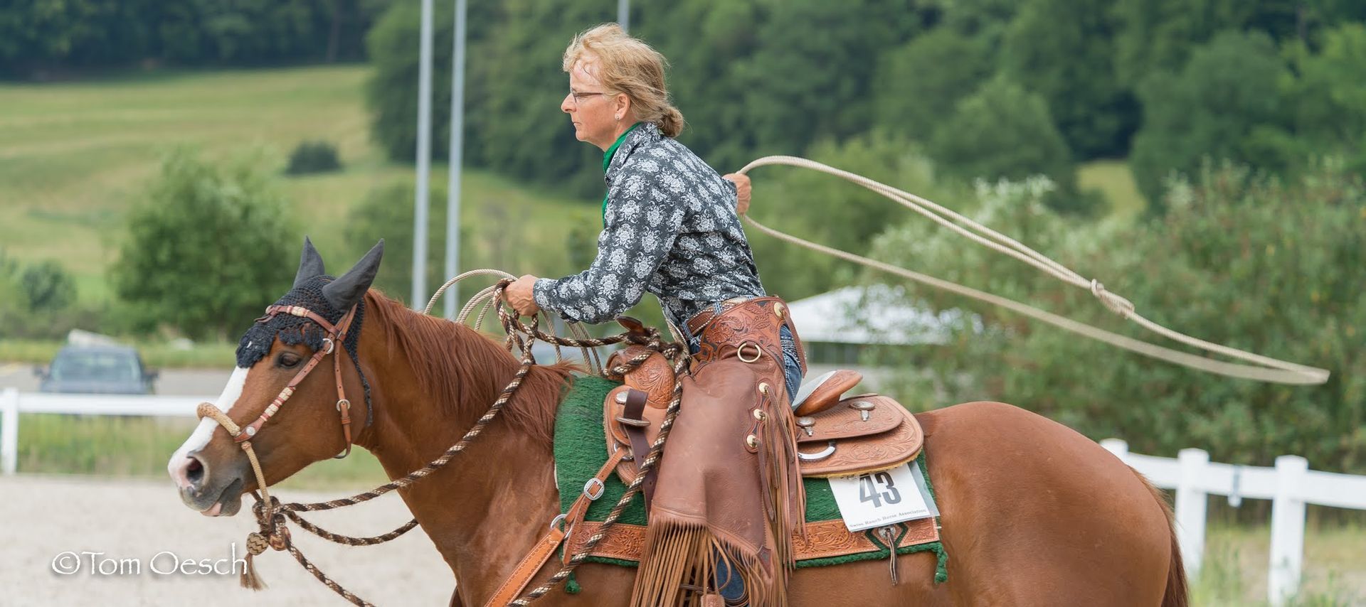 Swiss Ranch Horse Association - SRHA