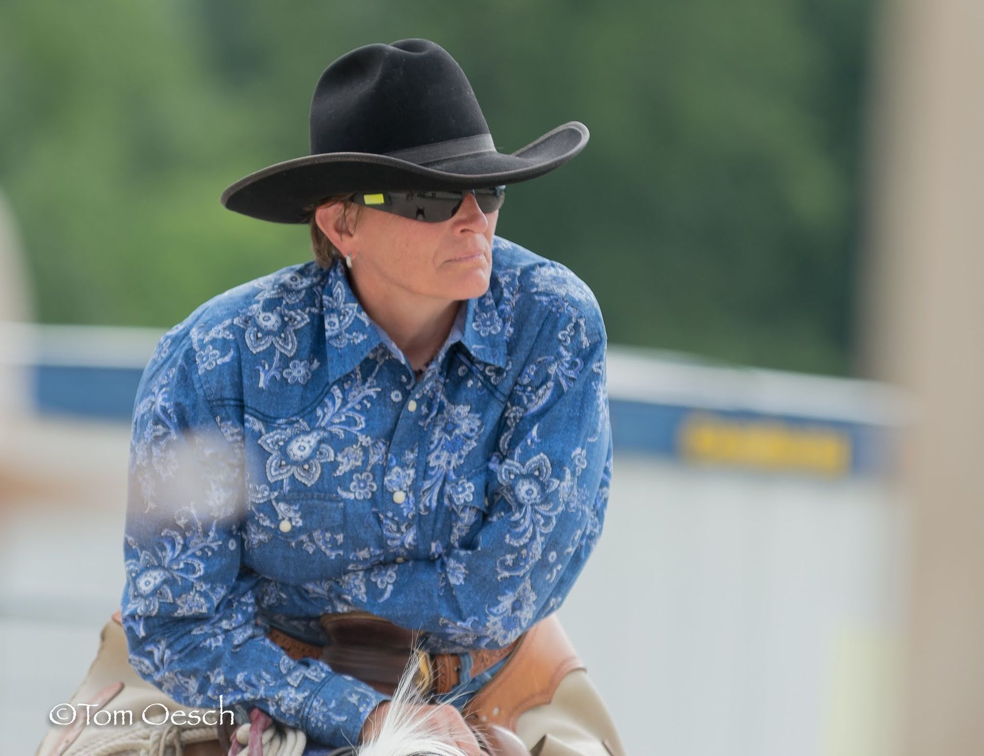 Swiss Ranch Horse Association - SRHA