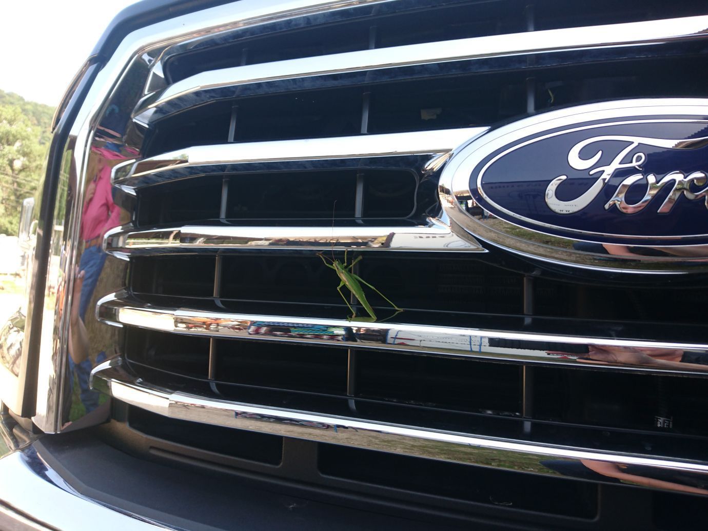 Swiss Ranch Horse Association - SRHA