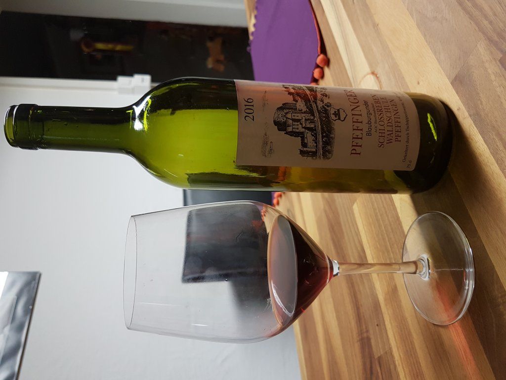 Swiss Ranch Horse Association - SRHA