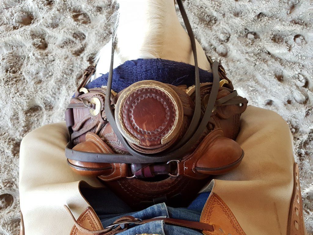 Swiss Ranch Horse Association - SRHA