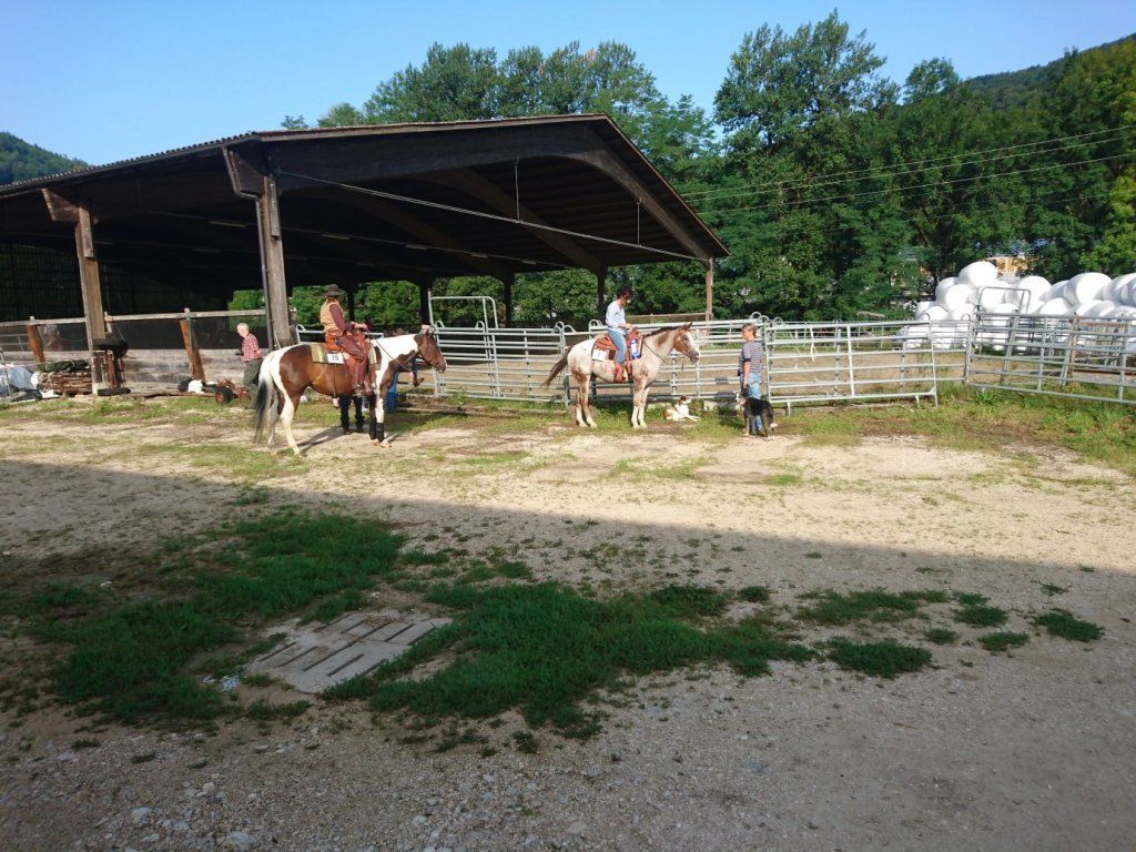 Swiss Ranch Horse Association - SRHA
