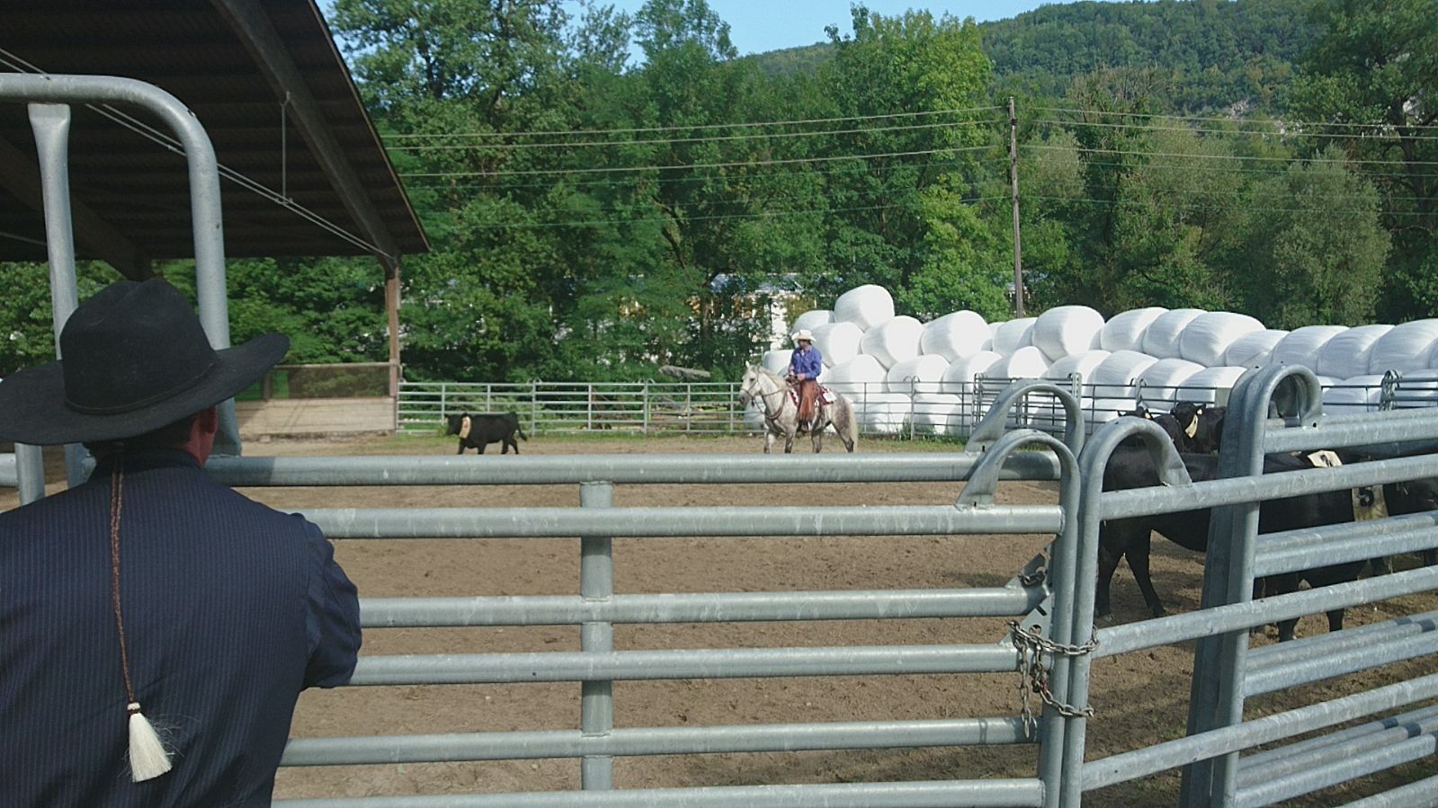 Swiss Ranch Horse Association - SRHA