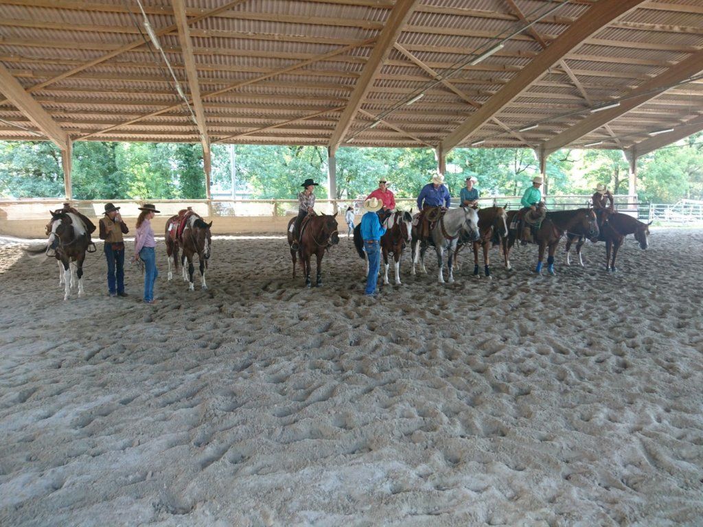 Swiss Ranch Horse Association - SRHA