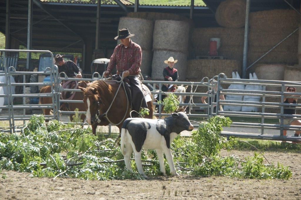 Swiss Ranch Horse Association - SRHA