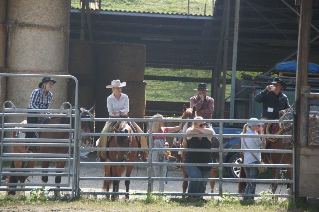Swiss Ranch Horse Association - SRHA