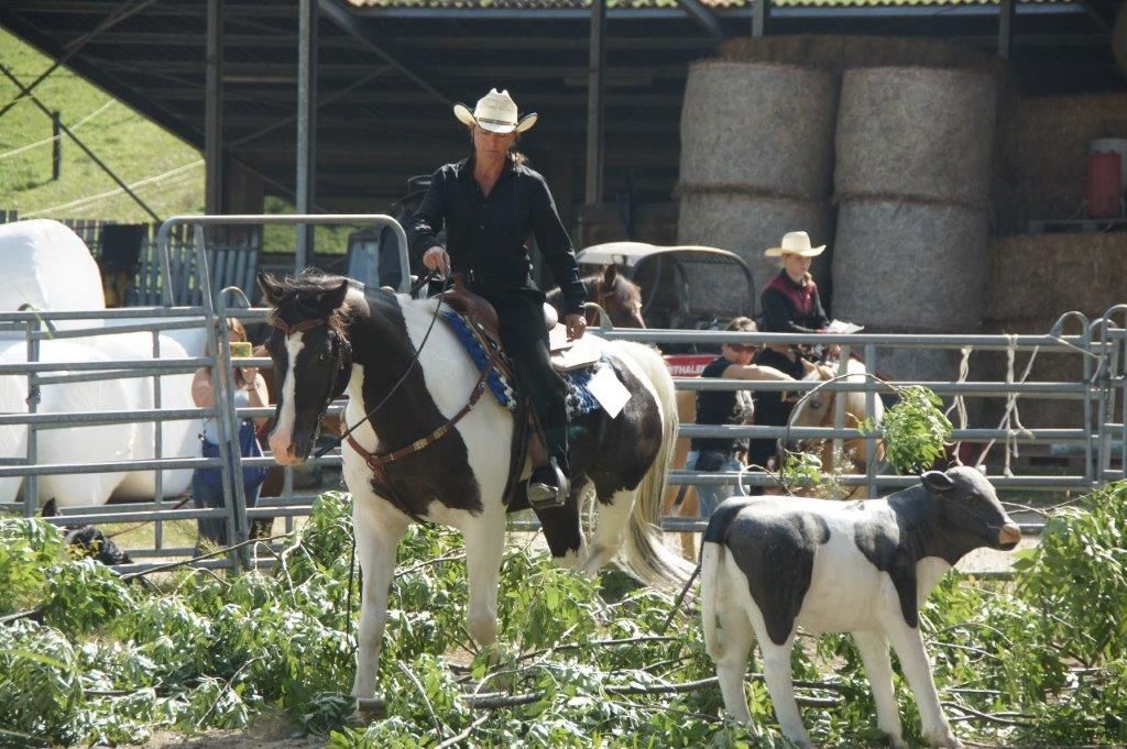 Swiss Ranch Horse Association - SRHA