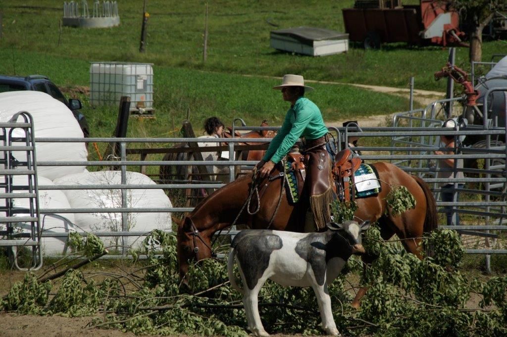Swiss Ranch Horse Association - SRHA