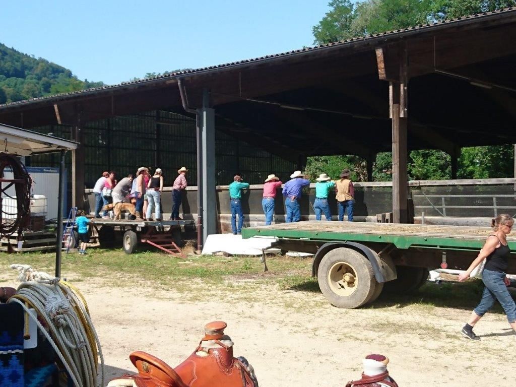 Swiss Ranch Horse Association - SRHA