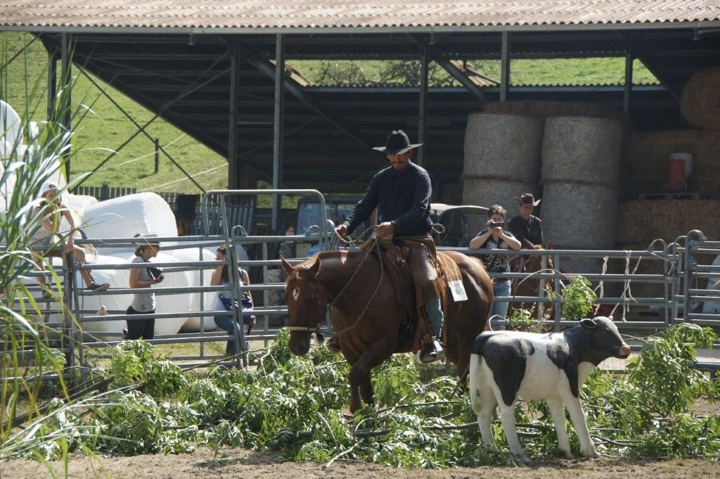 Swiss Ranch Horse Association - SRHA