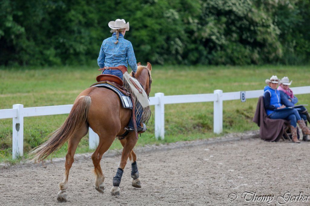 Swiss Ranch Horse Association - SRHA