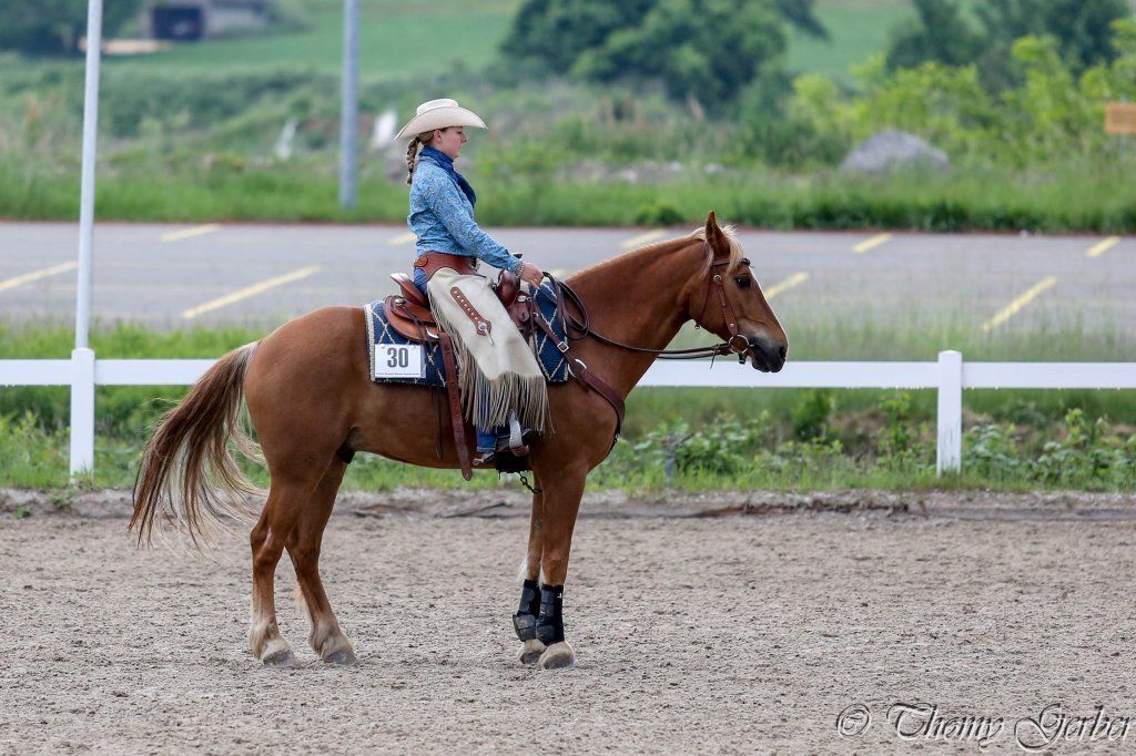 Swiss Ranch Horse Association - SRHA