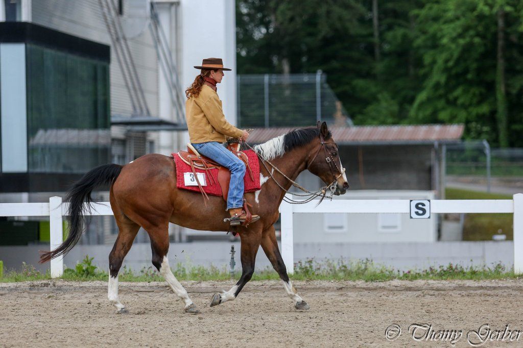 Swiss Ranch Horse Association - SRHA