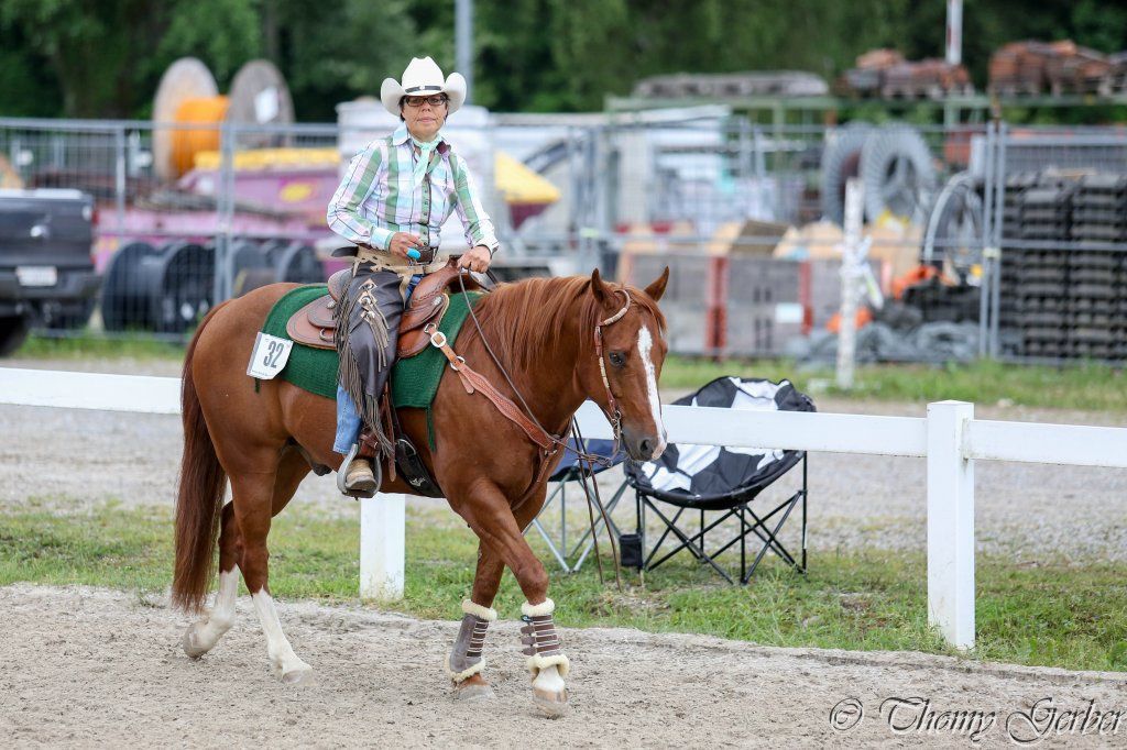Swiss Ranch Horse Association - SRHA