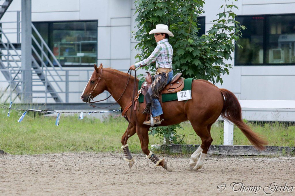 Swiss Ranch Horse Association - SRHA